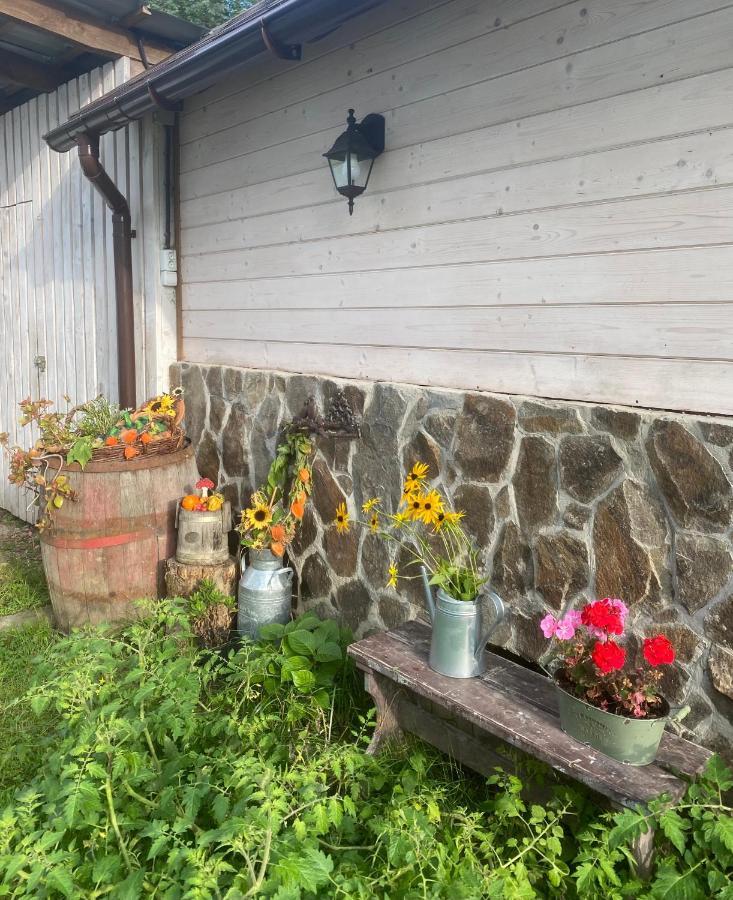 Holiday Home Usadba Novoselitsa Exterior photo